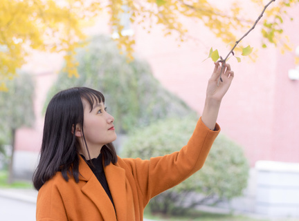 现在还能去菲律宾做生意吗(生意相关讲解)